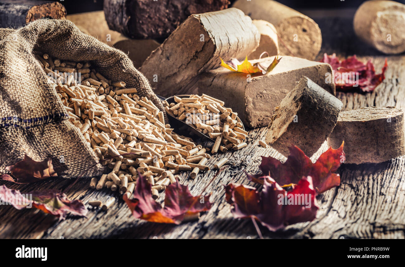 Pressé de bûches de bois et granulés de bois à partir de la biomasse avec les feuilles d'automne. Banque D'Images