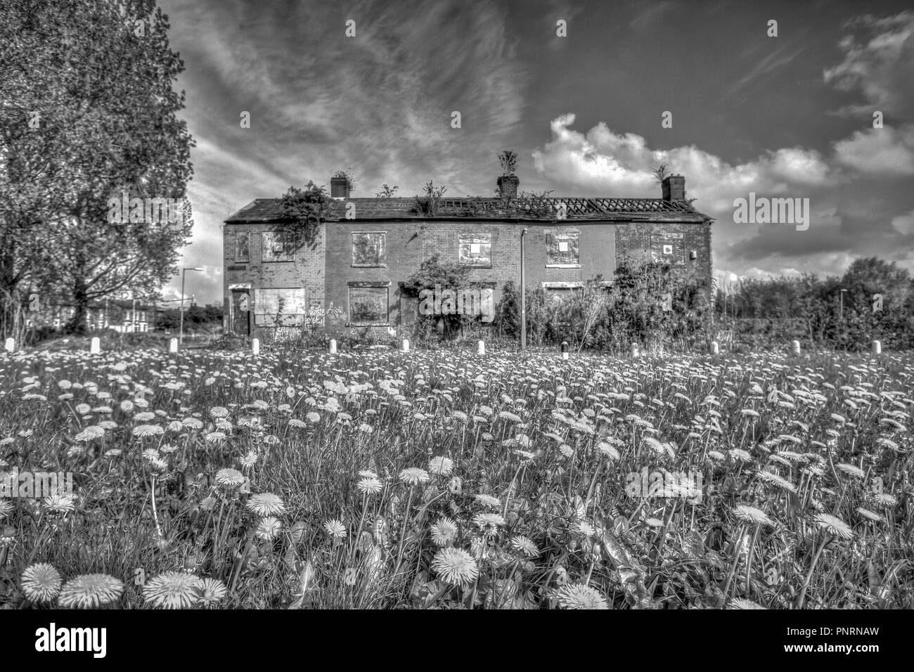 L'abandon de maisons abandonnées,Clayton, Manchester, UK Banque D'Images