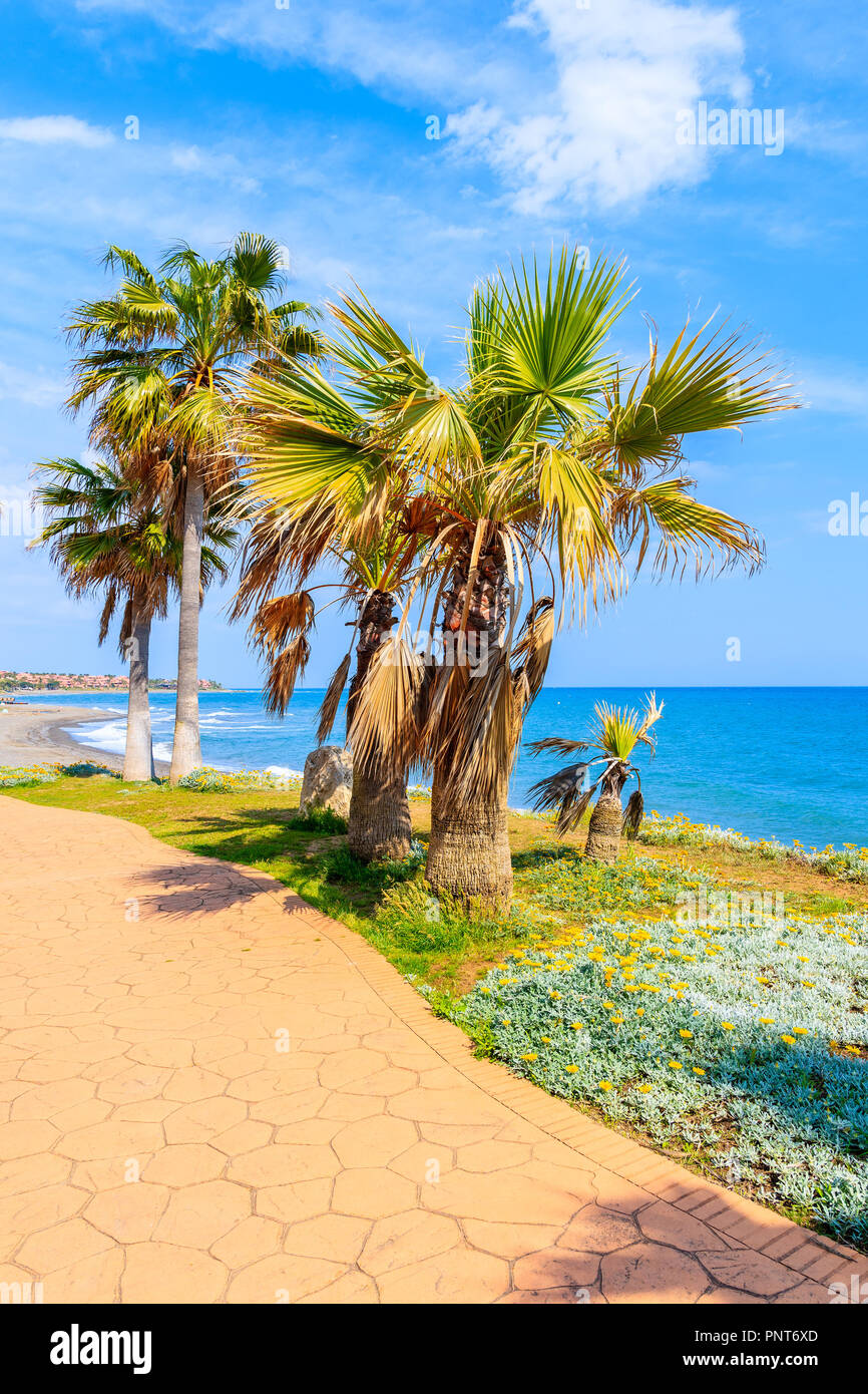 Sentier Du Littoral Avec Des Palmiers Le Long De La Plage