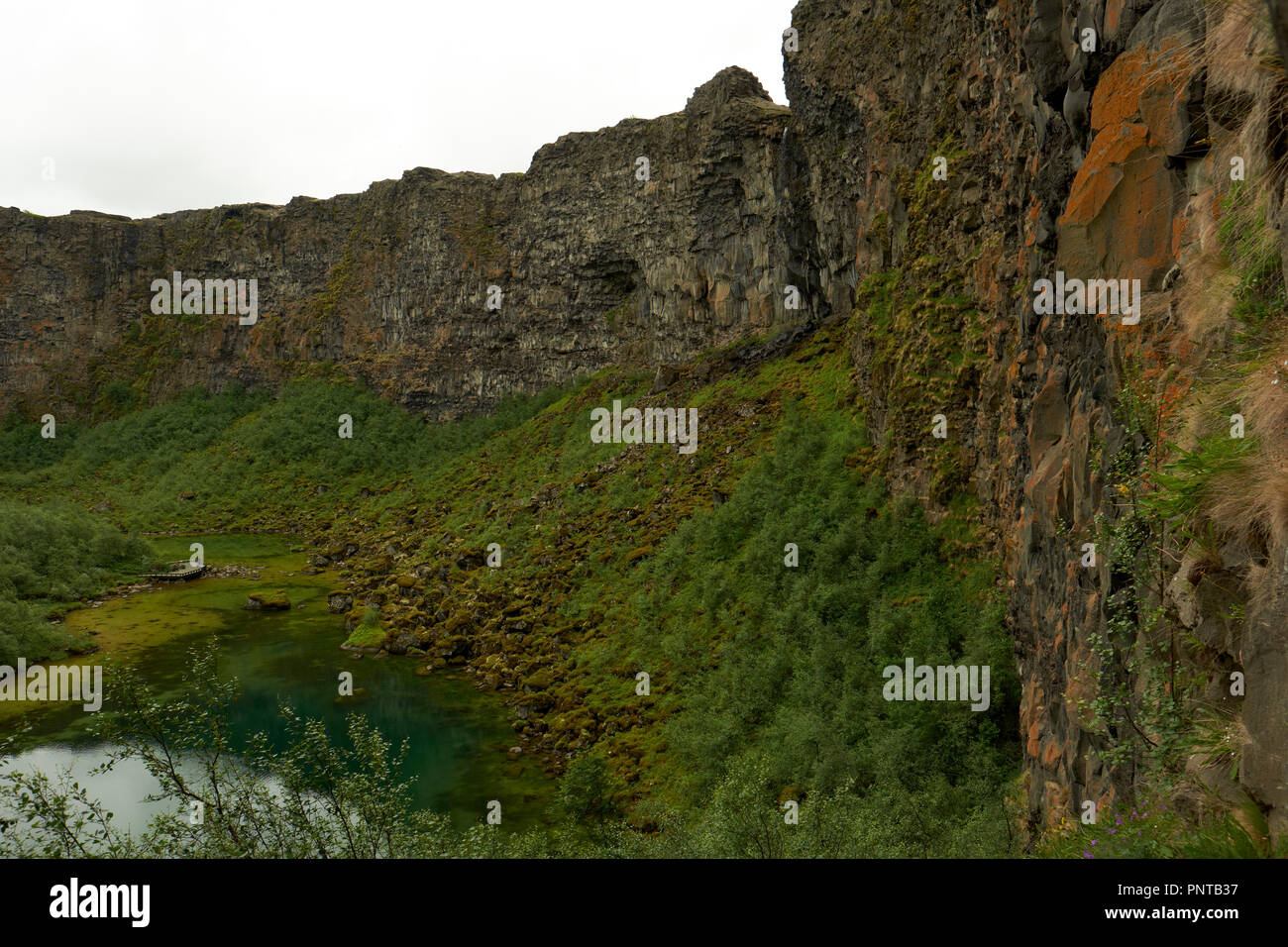 Les parois du canyon d'Asbyrgi glaciaire dans le nord de l'Islande fait maintenant partie de la Parc national du Vatnajökull. Banque D'Images