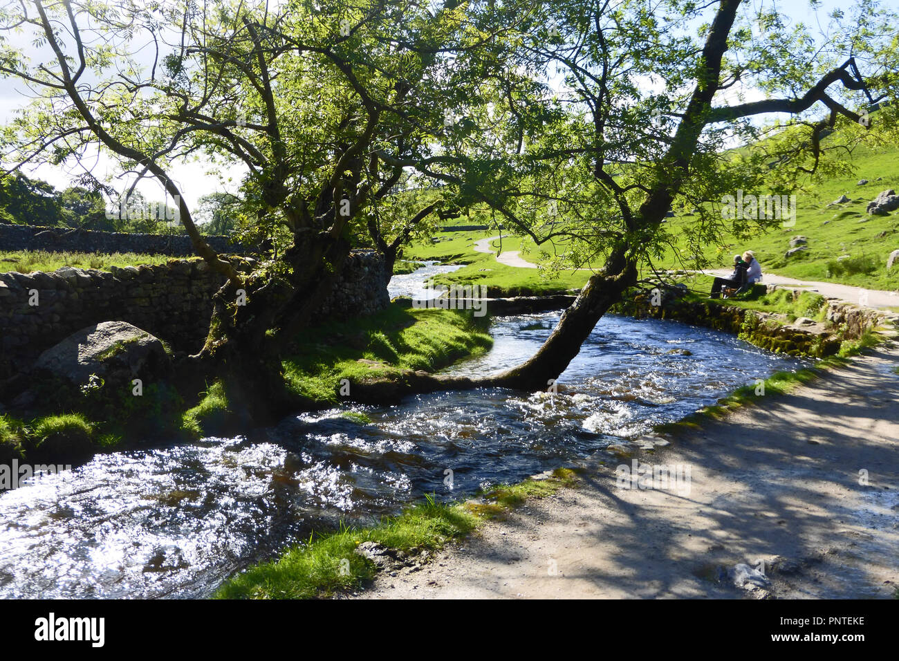 Malham Beck qui s'écoule de Malham Cove dans le Yorkshire, Angleterre Banque D'Images