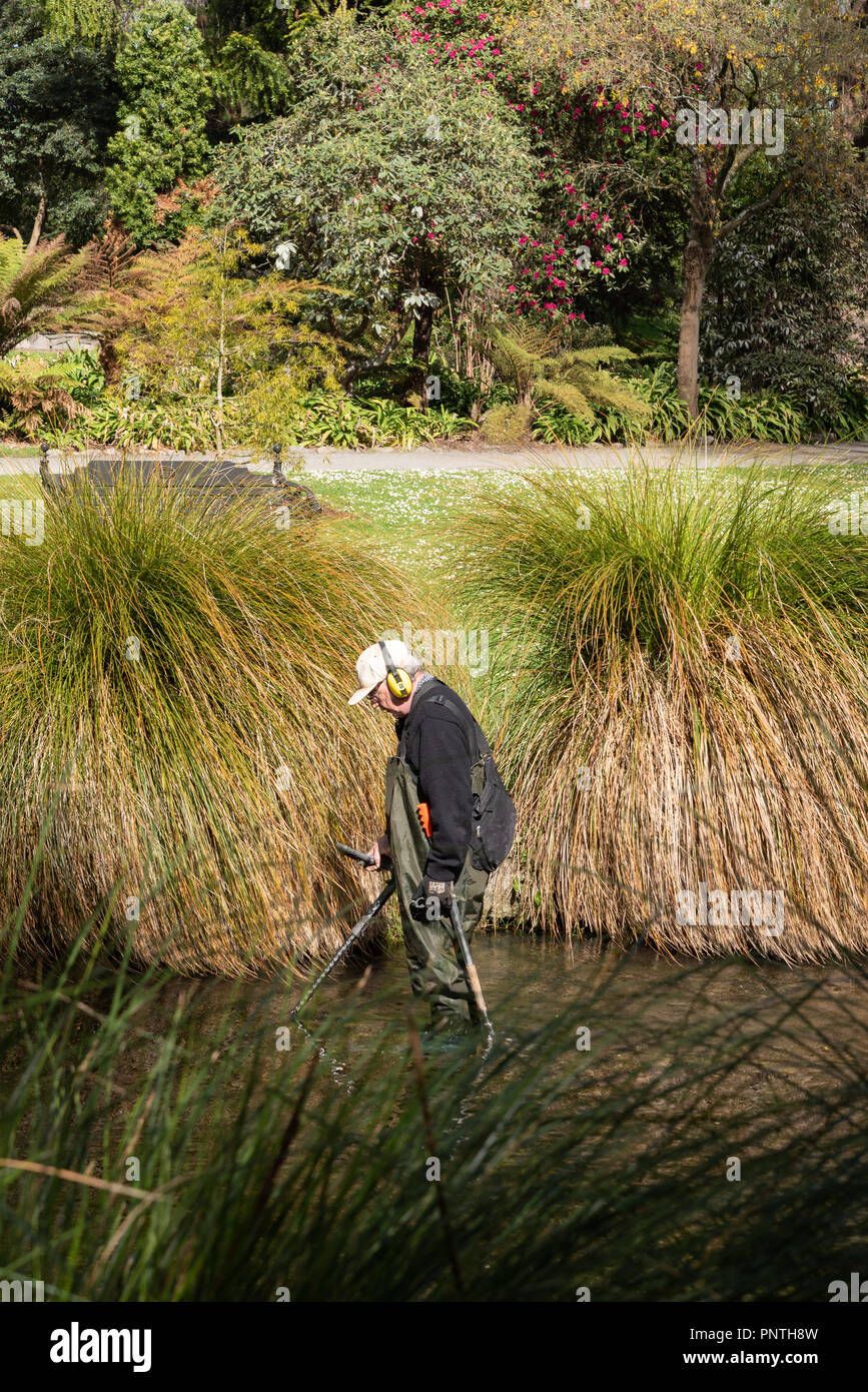 Chasse au trésor dans la rivière Avon, Christchurch, Nouvelle-Zélande Banque D'Images