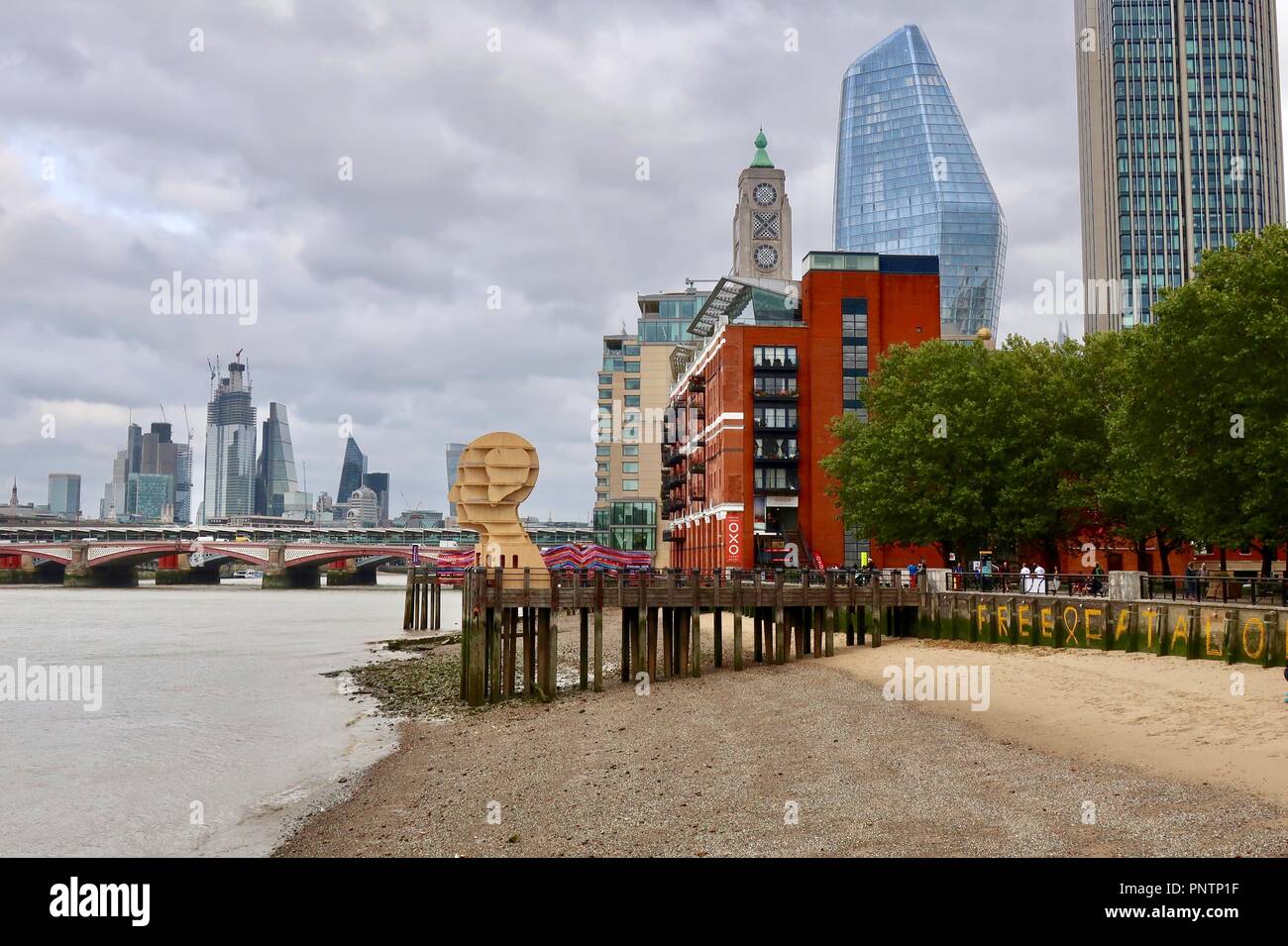 Londres, Royaume-Uni, septembre 2018. London city skyline et tête de l'eau par Steuart Padwick mettant en évidence des problèmes de santé mentale. La Banque du Sud, l'art. Banque D'Images