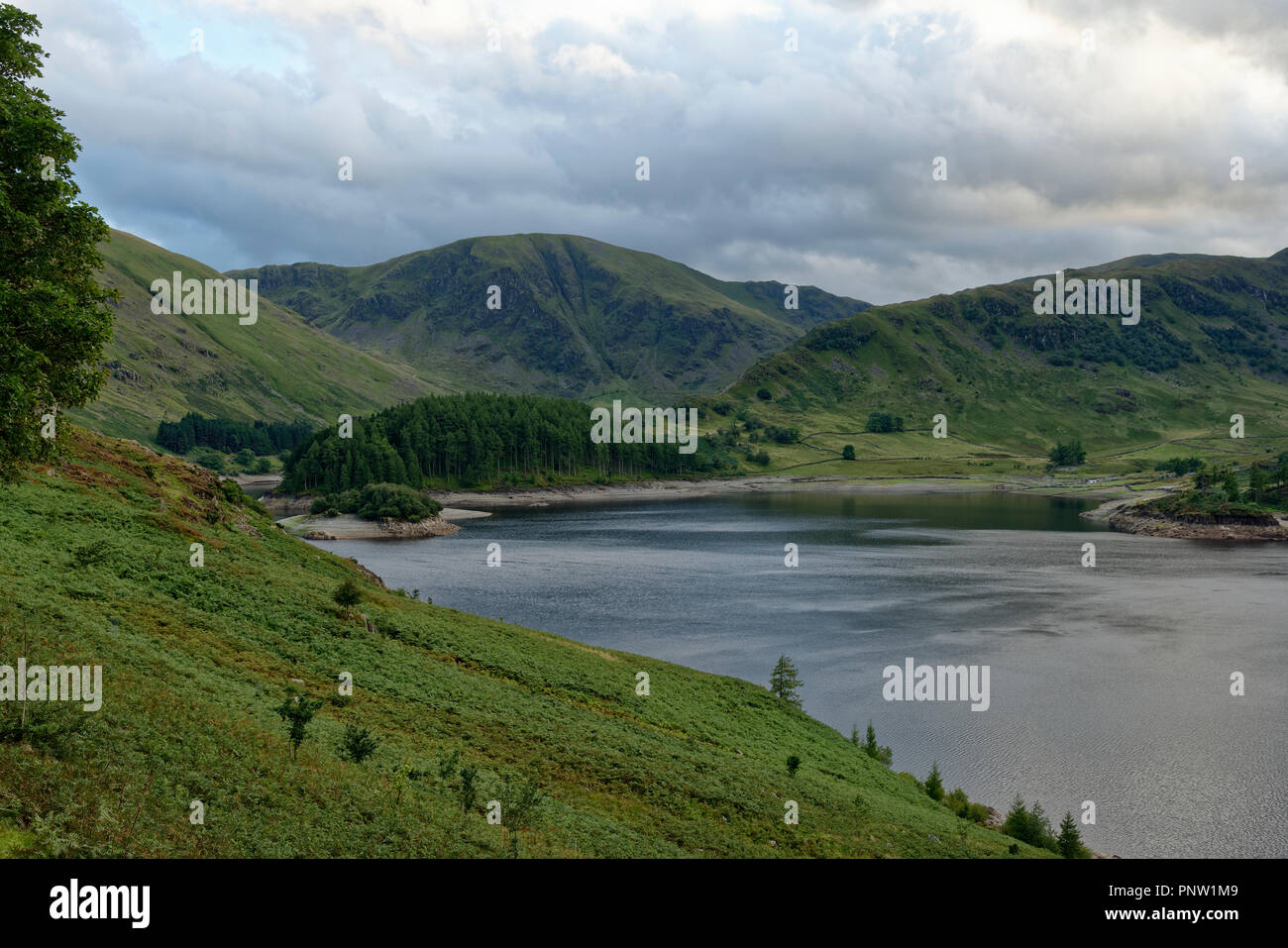 Haweswater, le Rigg & Harter a chuté, Lake District, Cumbria, Royaume-Uni Banque D'Images