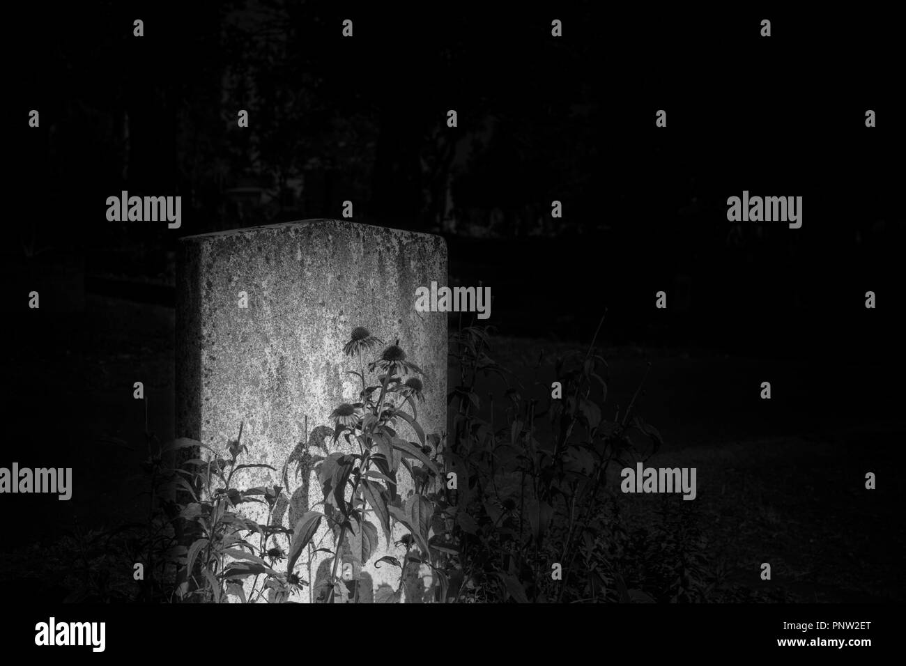 Le rendu noir et blanc de pierre tombale dans le cimetière sombre - composition de l'Halloween avec l'espace pour les noms et inscriptions Banque D'Images