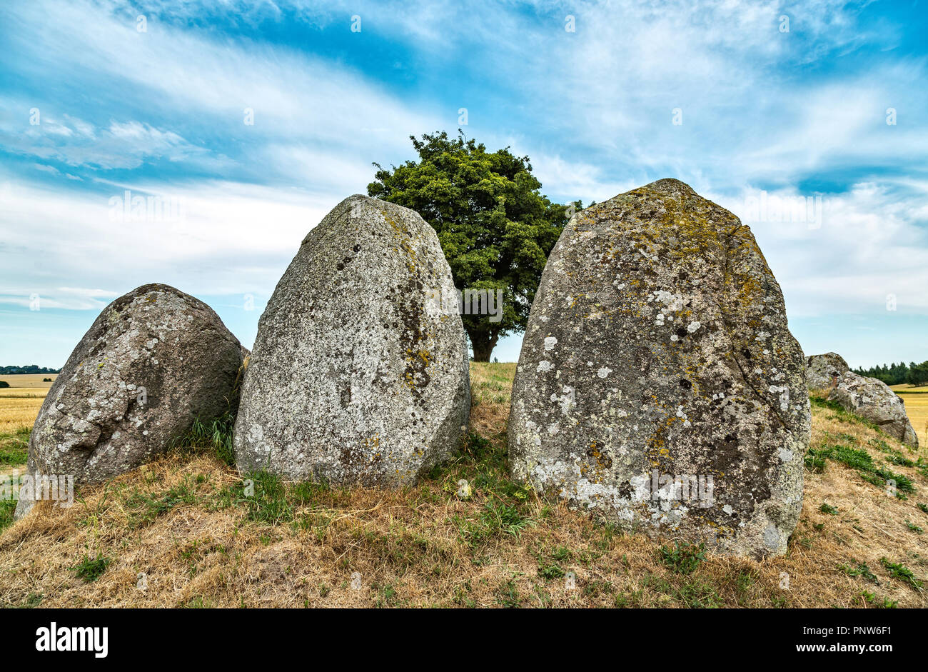 Menirs Bauta, pierres, dans l'île de Møn Banque D'Images