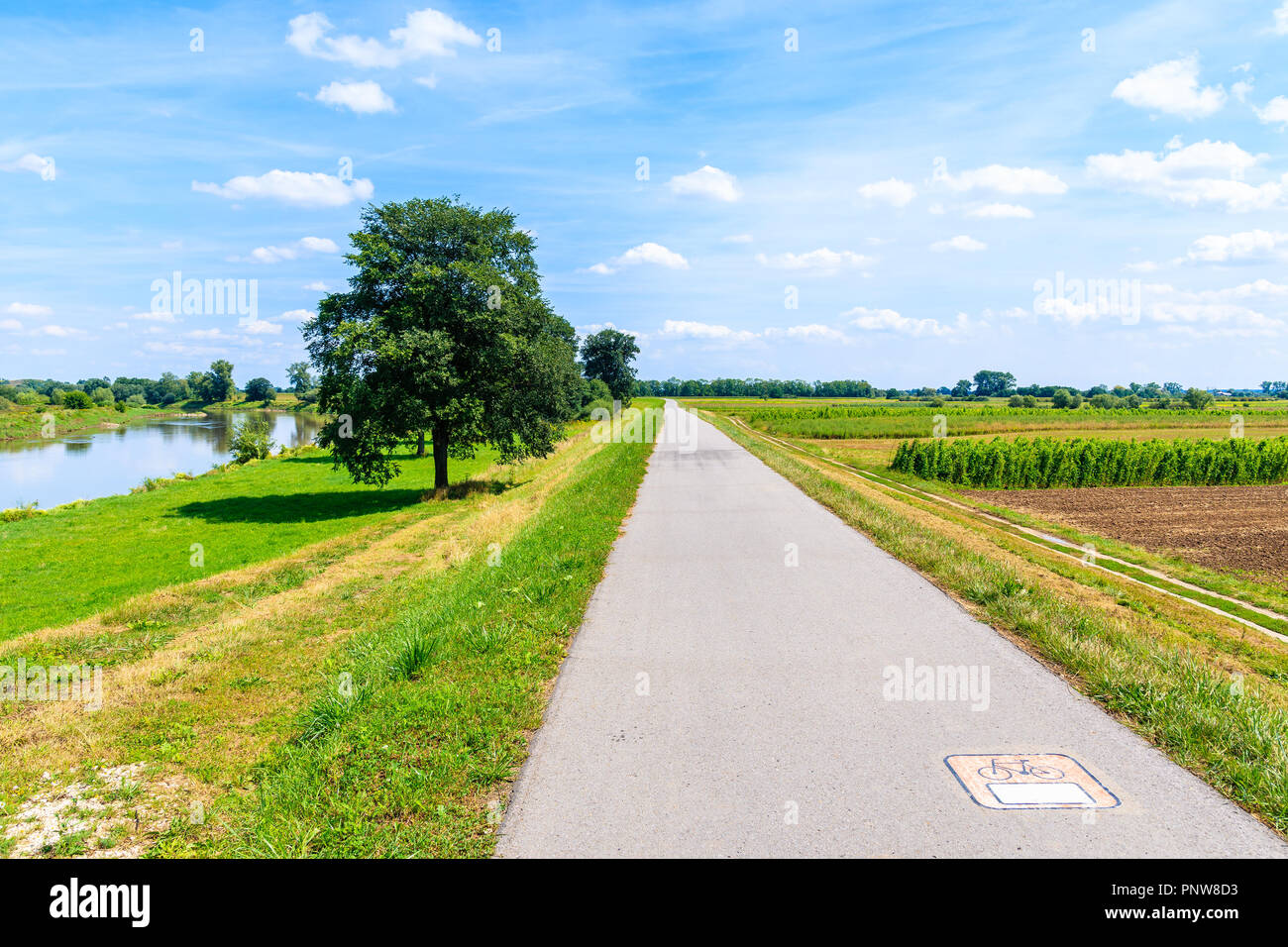 Piste cyclable le long de champs verts et Vistule près de Cracovie ville aux beaux jours de l'été, Pologne Banque D'Images
