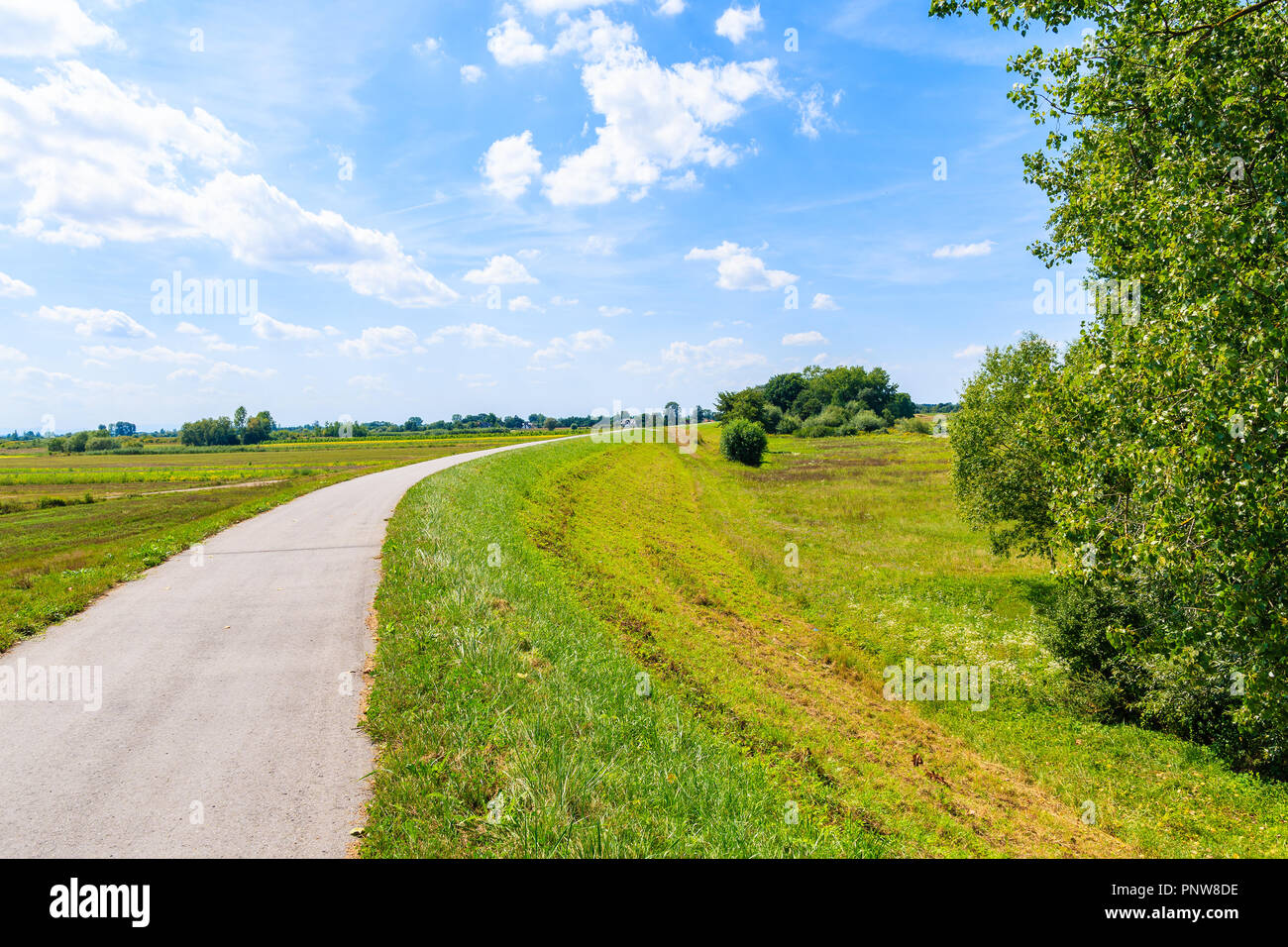 Piste cyclable le long de champs verts et Vistule près de Cracovie ville aux beaux jours de l'été, Pologne Banque D'Images