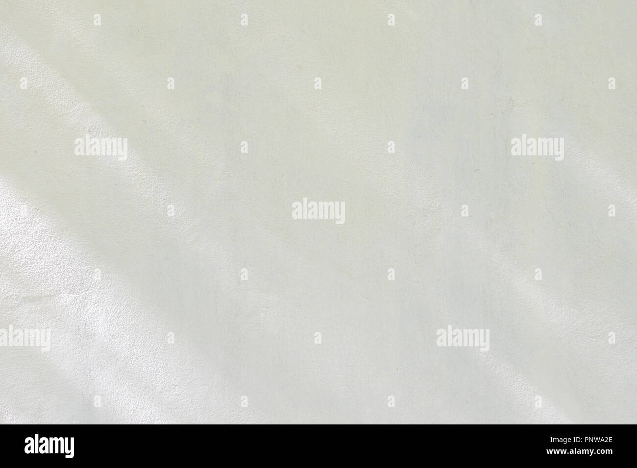 Noir et Blanc résumé fond textuer des ombres feuille sur un mur de béton Banque D'Images
