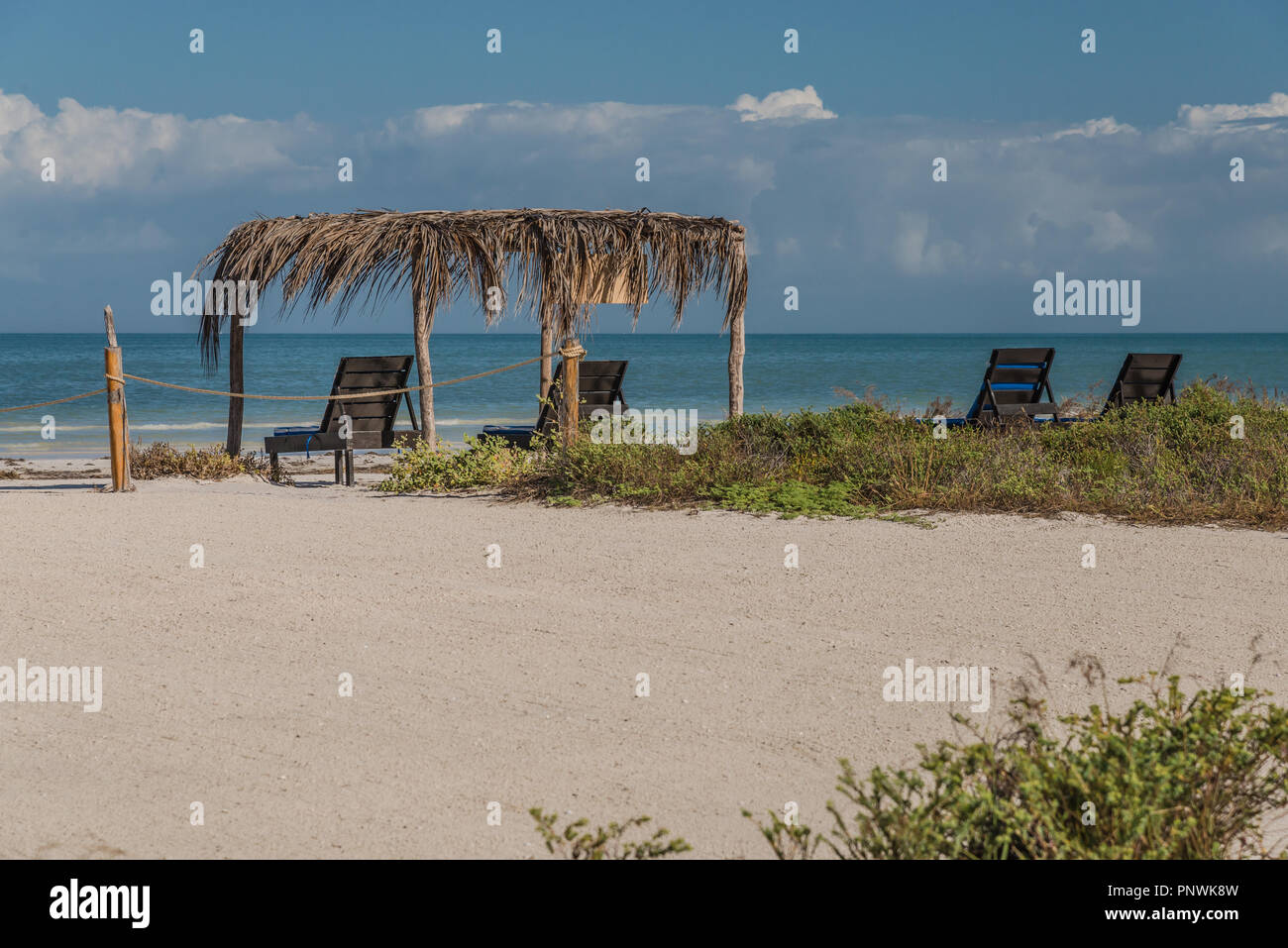 Quatre chaises vides et un palapa sur une large plage de plage des Caraïbes sur une journée ensoleillée sur Isla Holbox au Mexique Banque D'Images
