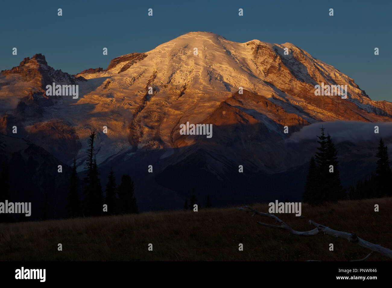 Sonnenaufgang am.Mt Rainier, Sunrise Lodge Banque D'Images