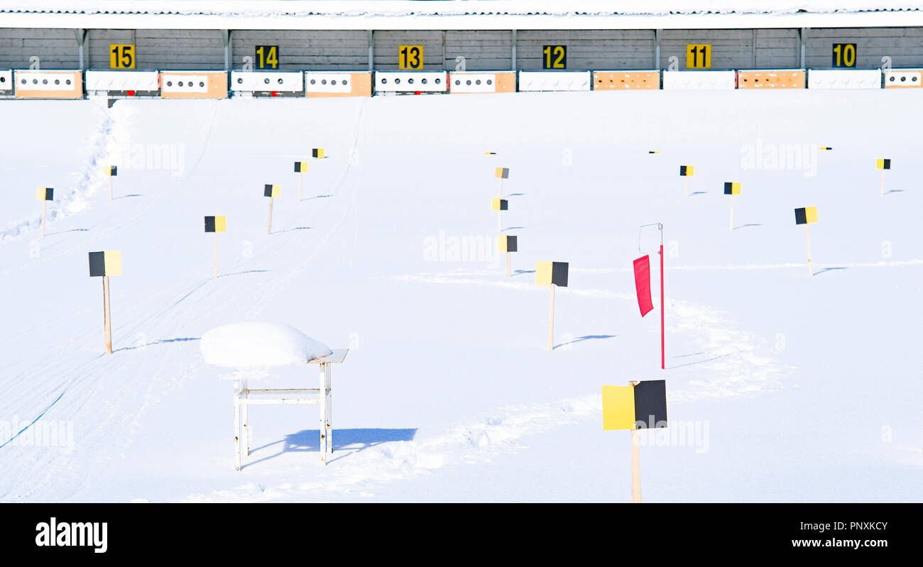 Cible métal type Biathlon avec 5 zones de tir-420x50x180 mm