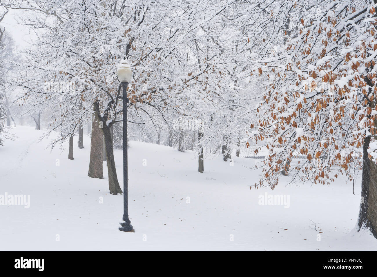 Dimanche des Rameaux de neige à January-Wabash Park avec un réverbère à côté d'un sentier de marche. Banque D'Images Dimanche des Rameaux de neige à January-Wabash Park avec un réverbère à côté d'un sentier de marche. Banque D'Images