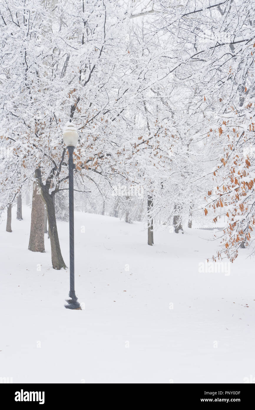 Dimanche des Rameaux de neige à January-Wabash Park avec un réverbère à côté d'un sentier de marche. Banque D'Images Dimanche des Rameaux de neige à January-Wabash Park avec un réverbère à côté d'un sentier de marche. Banque D'Images