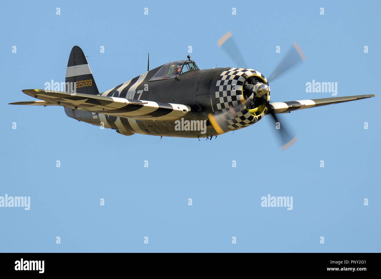 Republic P-47 Thunderbolt Seconde Guerre mondiale avion de chasse en vert olive, avec des bandes d'invasion et nez damier coquille inférieure. Flying Banque D'Images