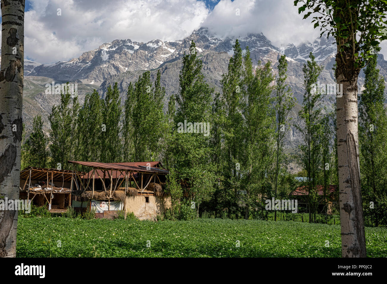 Arslanbob dans l'ambiance du sud-ouest des montagnes de la Fergana Kirghizistan Banque D'Images