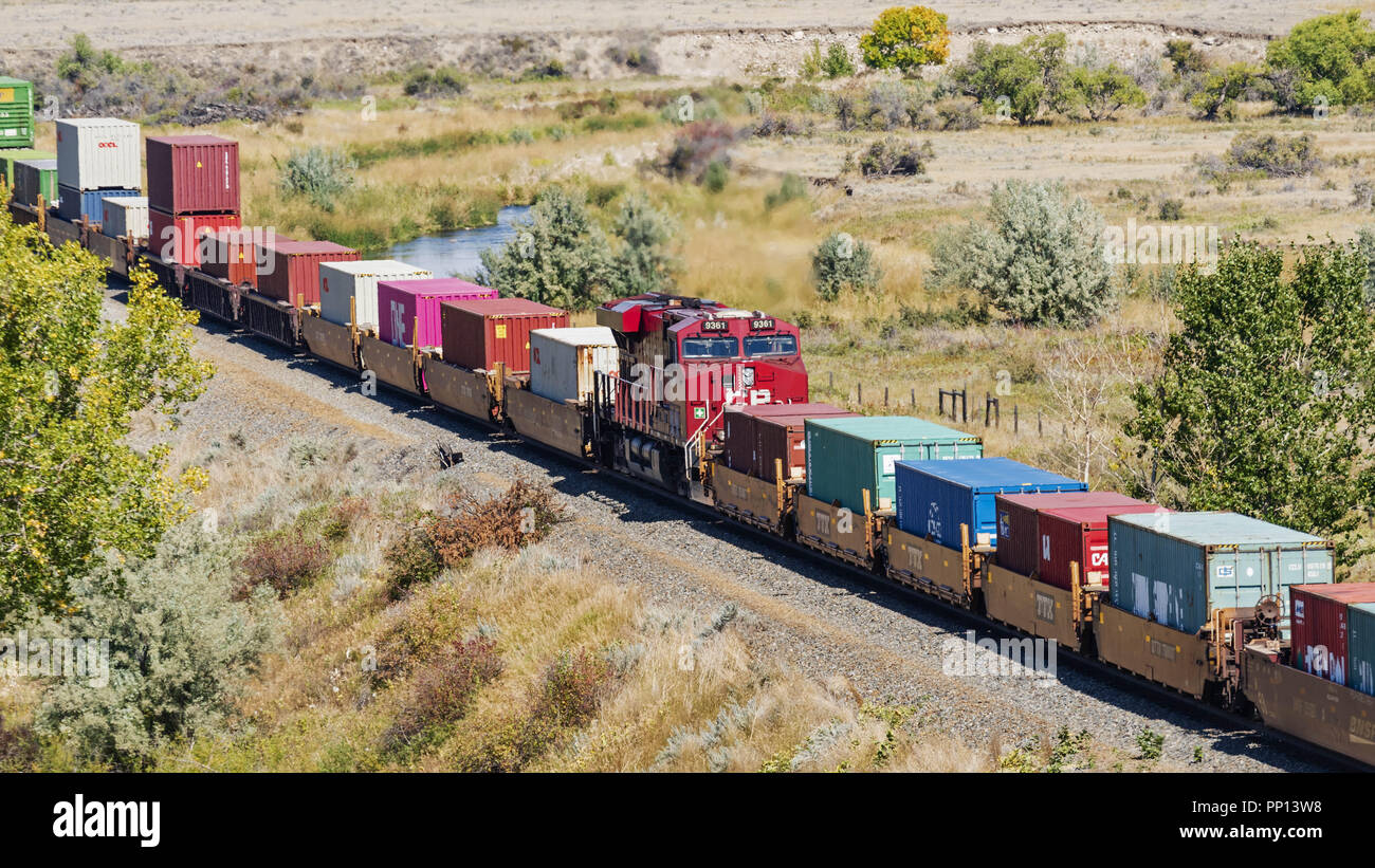 Medicine Hat, Alberta, Canada. Sep 6, 2018. Un train de marchandises du chemin de fer Canadien Pacifique, y compris le transport intermodal des conteneurs d'expédition, se déplace le long des voies près de Medicine Hat, en Alberta. Credit : Bayne Stanley/ZUMA/Alamy Fil Live News Banque D'Images