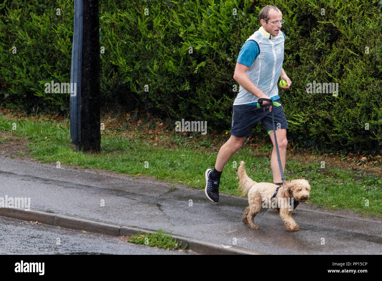 Chippenham, UK, 23 Septembre, 2018. Un homme promenait son chien est photographié bravant les fortes pluies à Chippenham comme des orages font leur chemin à travers le sud de l'Angleterre. Credit : Lynchpics/Alamy Live News Banque D'Images