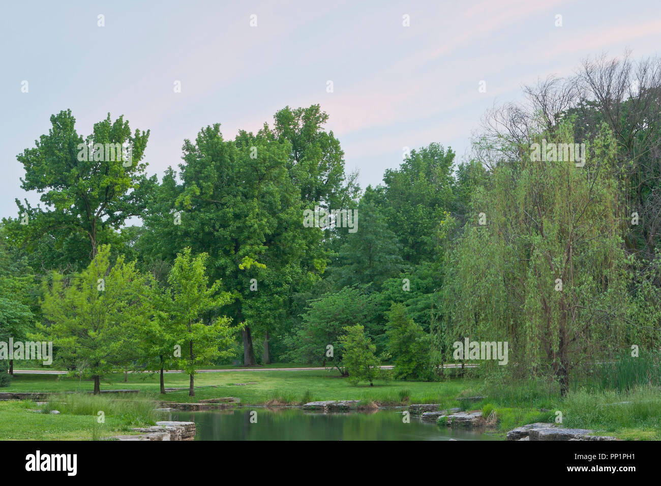 Scène de printemps sous un ciel nuageux sur la zone naturelle de Deer Lake à St Louis Forest Park, près de coucher du soleil, le Memorial Day en 2014. Banque D'Images