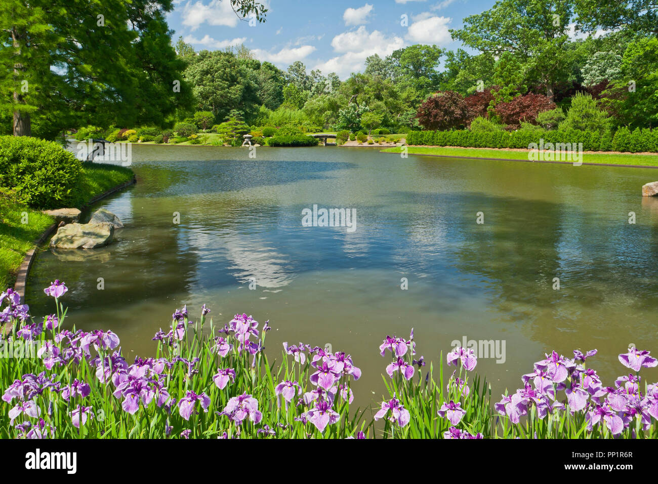 ST. LOUIS - 12 juin : puffy lumineux nuages dans le ciel bleu au-dessus et se reflètent dans le lac dans le jardin japonais du Jardin Botanique du Missouri sur le bilan à mi-J Banque D'Images