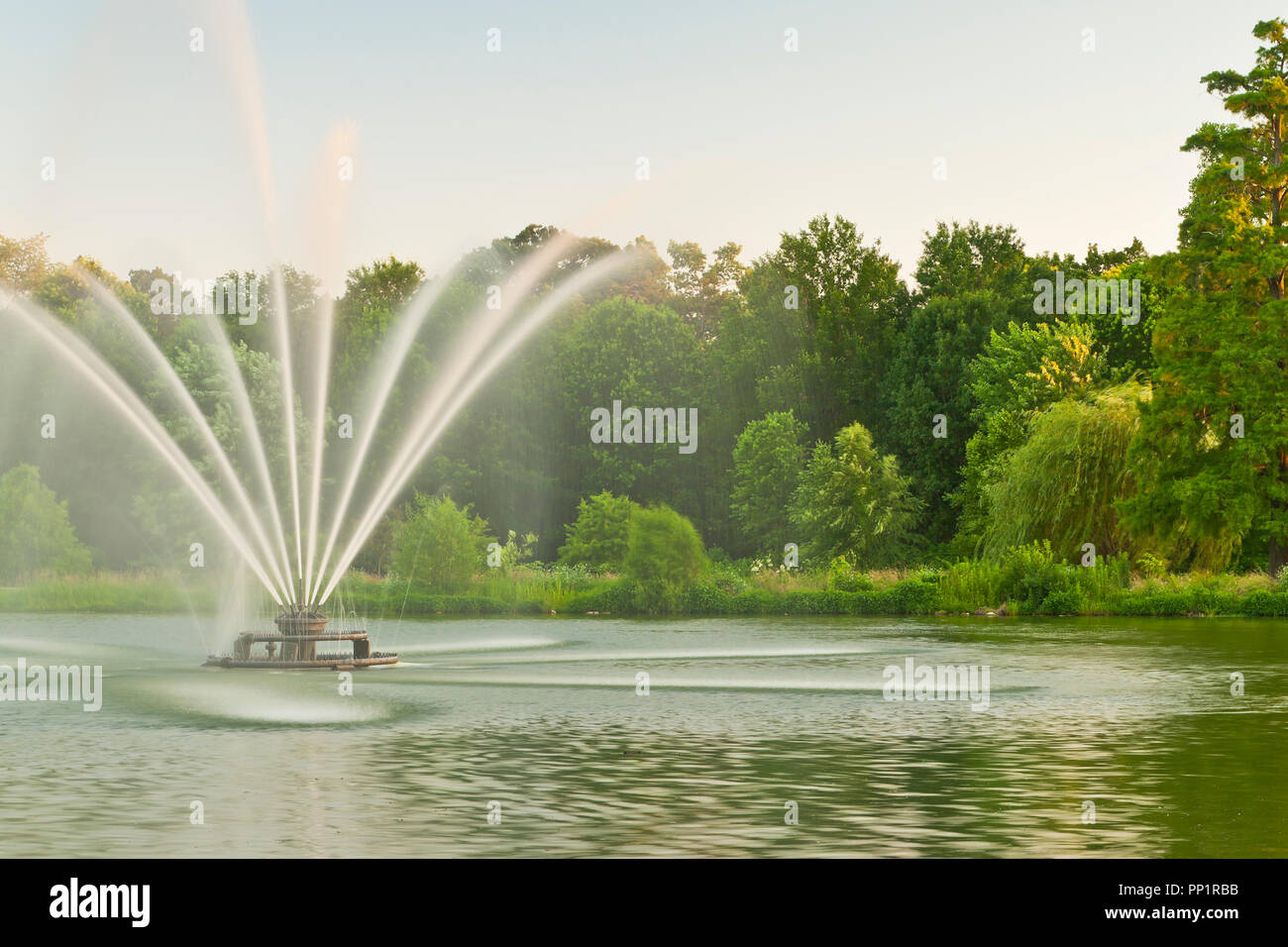 La lumière du soleil sur le jet de la fontaine à Round Lake près de coucher du soleil à St Louis Forest Park un soir d'été. Banque D'Images La lumière du soleil sur le jet de la fontaine à Round Lake près de coucher du soleil à St Louis Forest Park un soir d'été. Banque D'Images