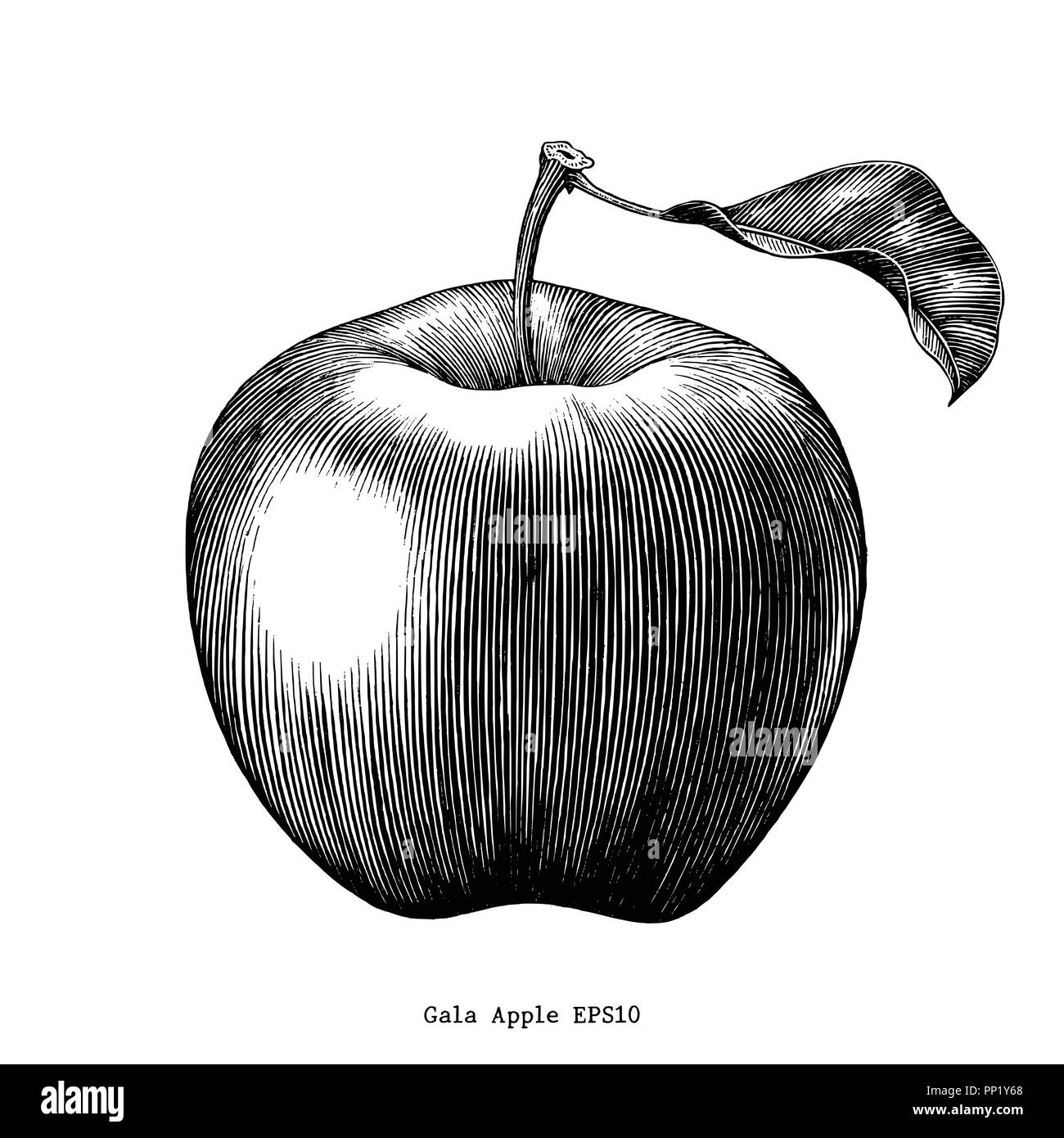 Pomme Dessin Realiste Noir Et Blanc Dessin de pomme Banque de photographies et d'images à haute résolution -  Alamy