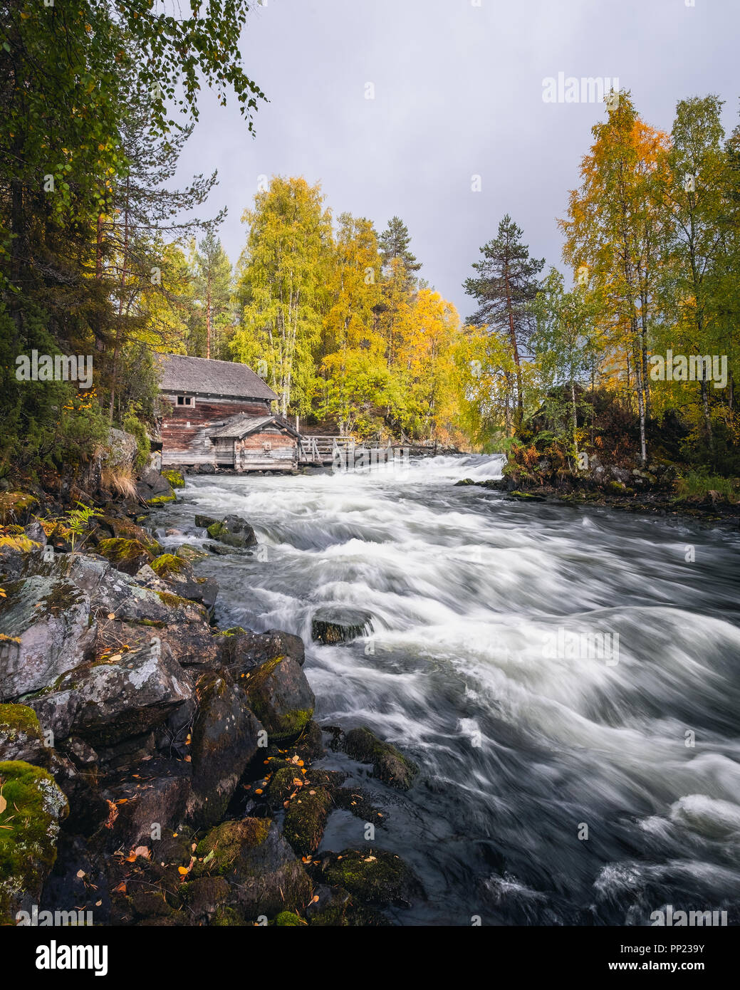 Paysage panoramique sur la rivière avec de belles couleurs d'automne au jour de l'automne, le parc national de Finlande Banque D'Images