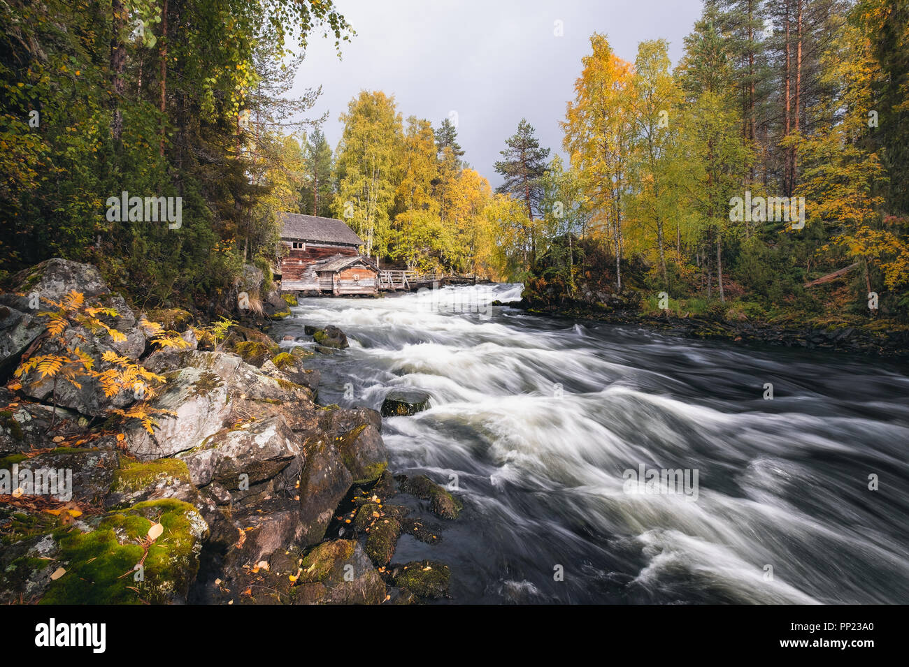 Paysage panoramique sur la rivière avec de belles couleurs d'automne au jour de l'automne, le parc national de Finlande Banque D'Images