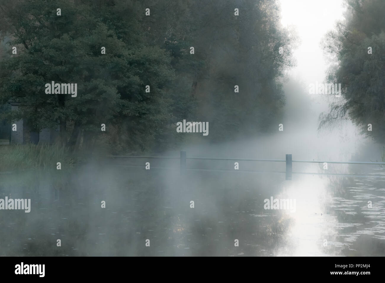 Canal Trees In Foggy Weather Canal Banque d'image et photos Alamy