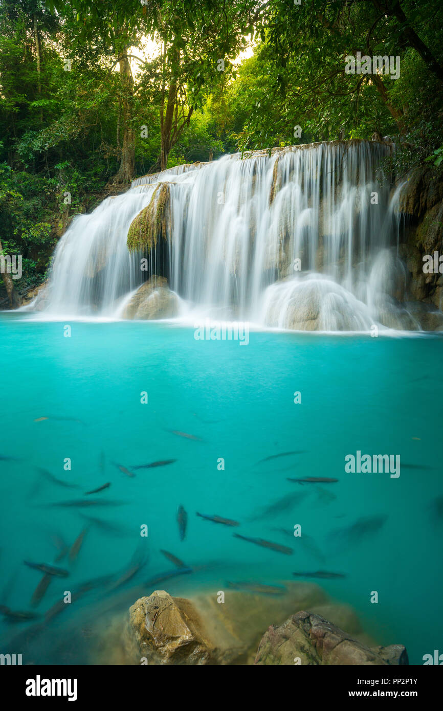 Chute d'eau d'Erawan en Thaïlande est de localiser en Provience de Kanchanaburi. Cette cascade est dans le parc national d'Erawan à l'intérieur de la forêt. À partir de niveau 2 7. Banque D'Images