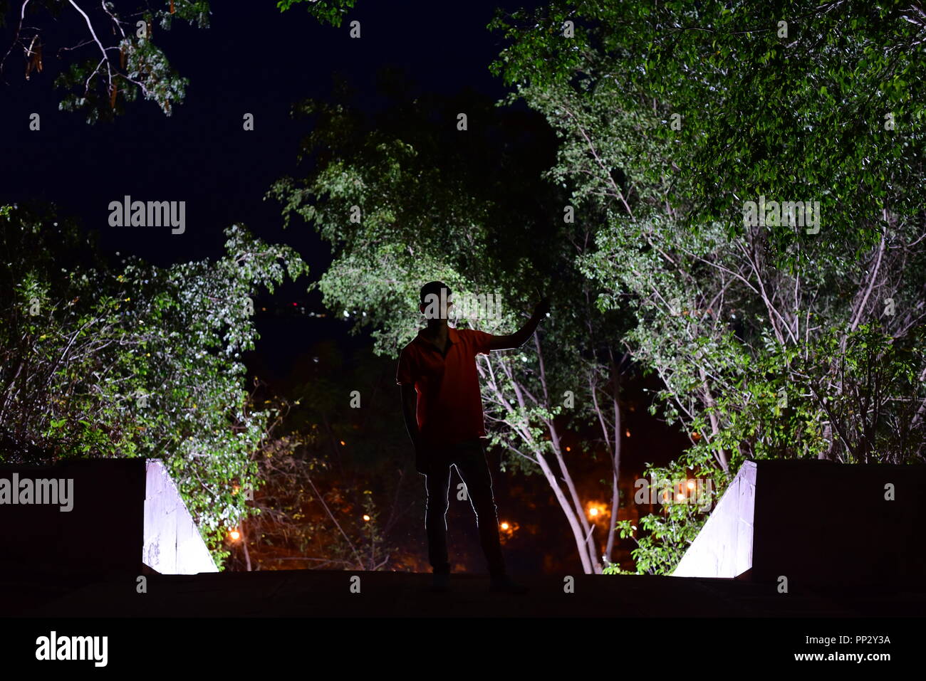 La photo est la capyure de nuit avec retour en flash nuit arbres nature lumière nuit capture par Nikon D750 appareil photo reflex numérique Banque D'Images