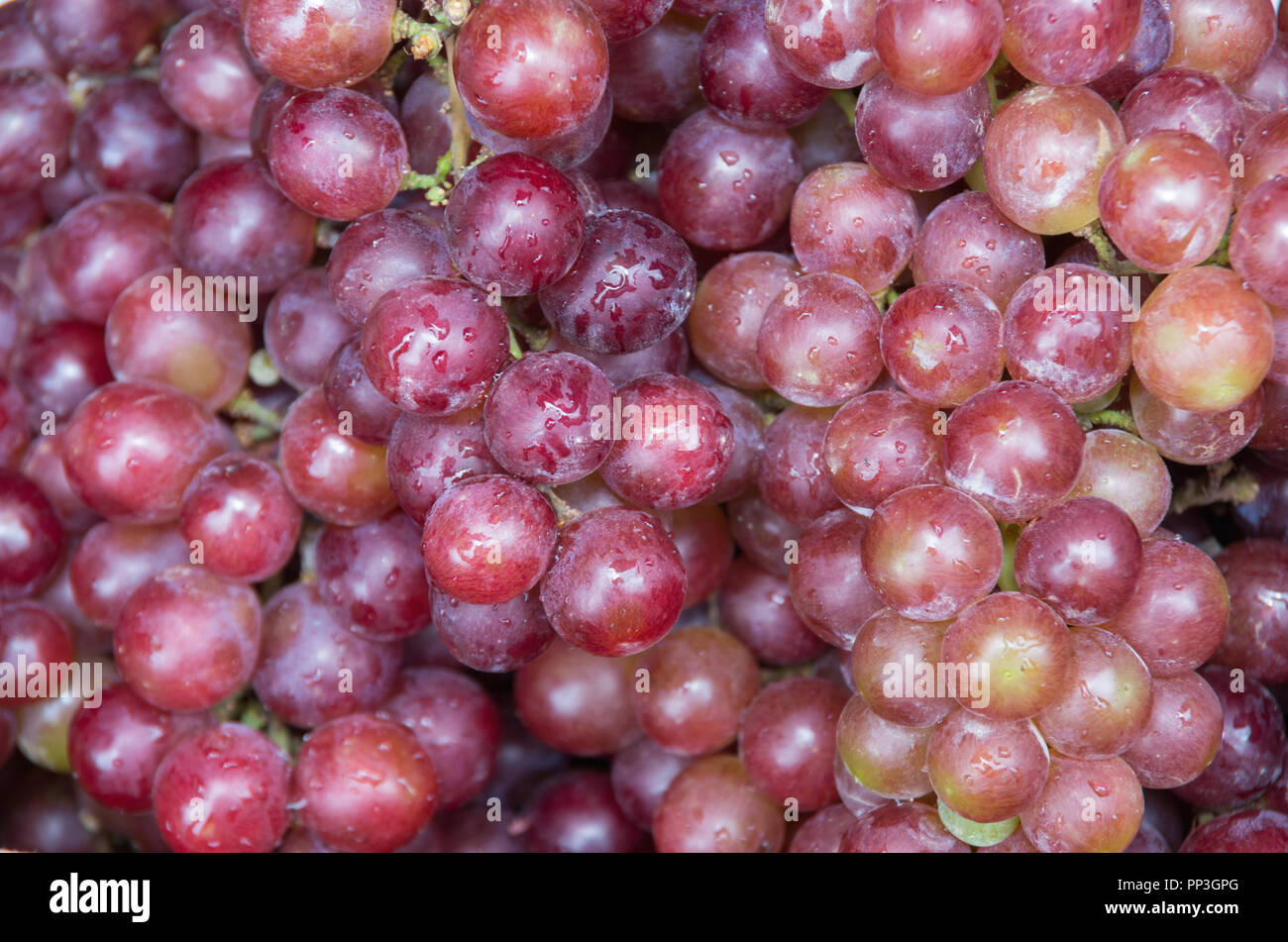 Arrière-plan avec fruits raisins dans le marché de l'Asie du Sud-Est, de l'image utiliser pour la conception, la publicité, le marketing, les affaires et l'impression Banque D'Images