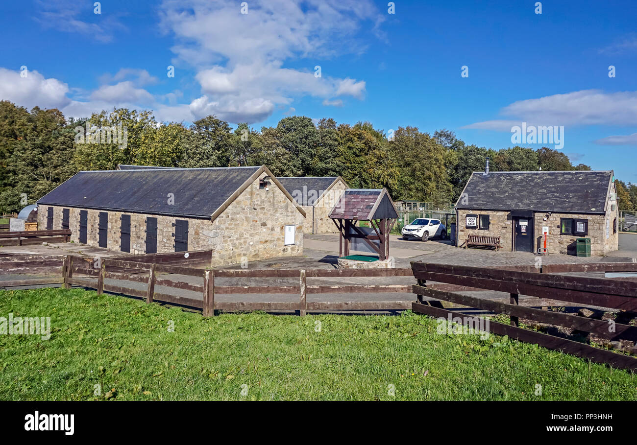 Ferme familiale à Muiravonside Newparks Country Park Whitecross près de Linlithgow Lothian Ouest Ecosse UK Banque D'Images