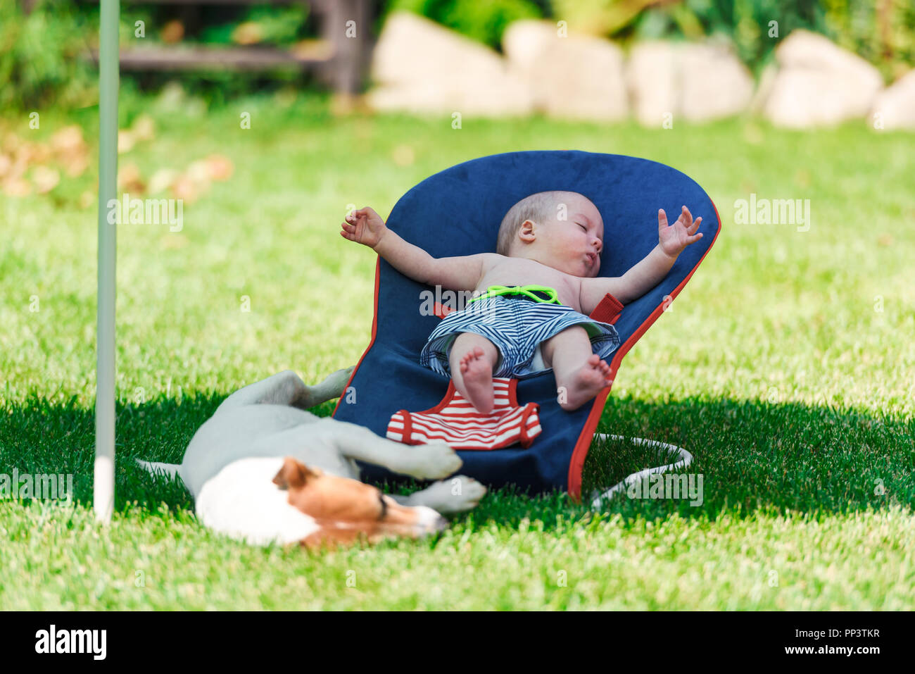 Bébé garçon se trouve sur une chaise longue avec chien sur pelouse verte. Se détendre et de vacances concept Banque D'Images
