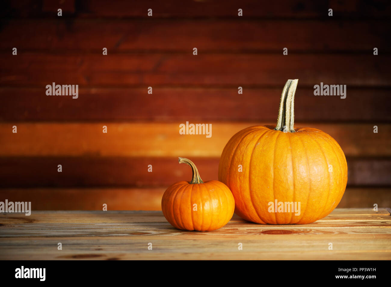 Deux citrouilles sur table en bois. Arrière-plan de l'alimentation et l'automne Halloween Banque D'Images