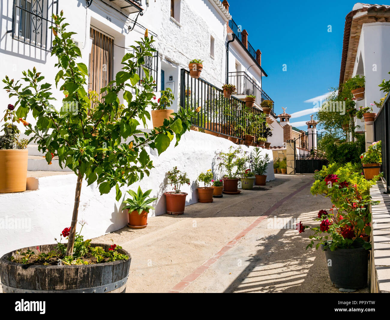 Ruelle pittoresque avec des maisons blanches et les pots de fleurs dans petit village sur la route, Mujedar Sedella, Axarquía, Andalousie, Espagne Banque D'Images