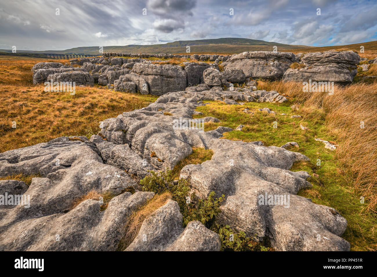 Whernside est une montagne dans les vallées du Yorkshire dans le Nord de l'Angleterre. C'est la plus haute des Yorkshire Trois Pics,[1] Les deux autres étant l'Ingleboroug Banque D'Images