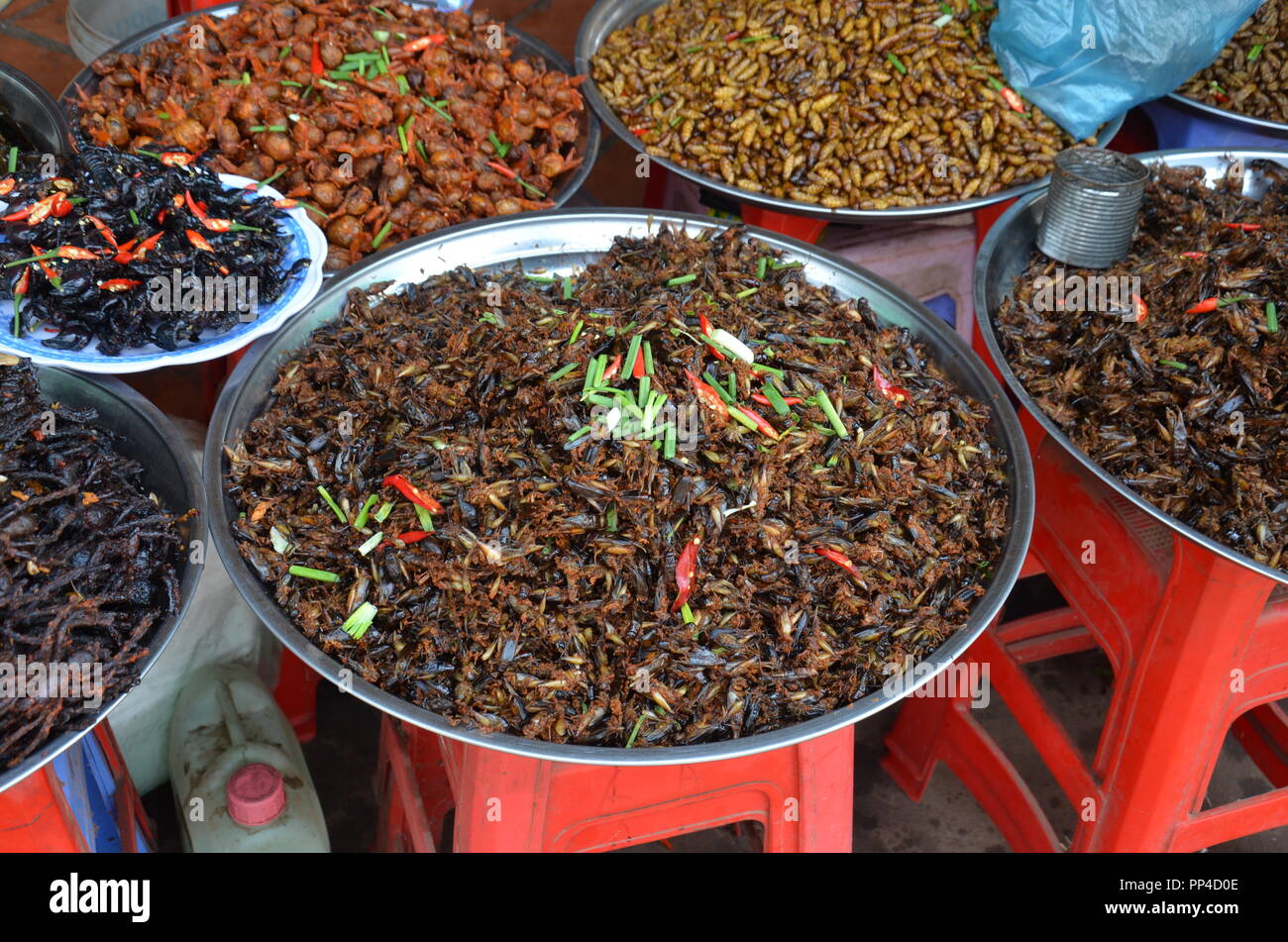 Un bazar stand avec Deep Fried insectes, vers, araignées et scorpions sur plaques. Banque D'Images