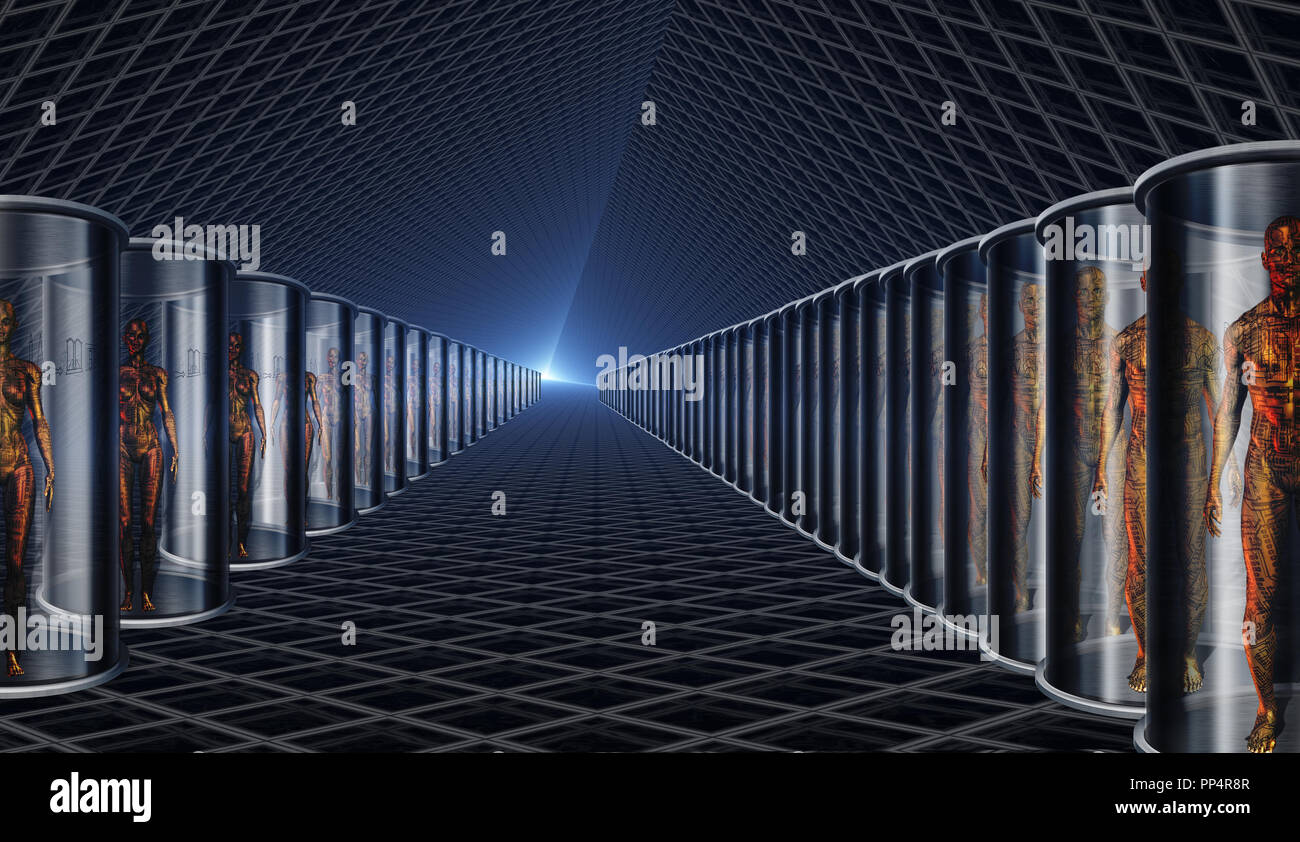 Androids dans le stockage ou le transport sur navire Banque D'Images