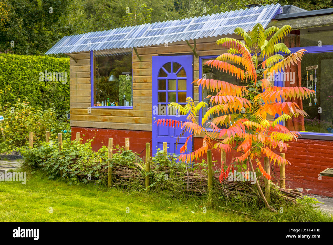 Petit cottage garden guest house avec des plantes et des arbres aux couleurs automnales Banque D'Images