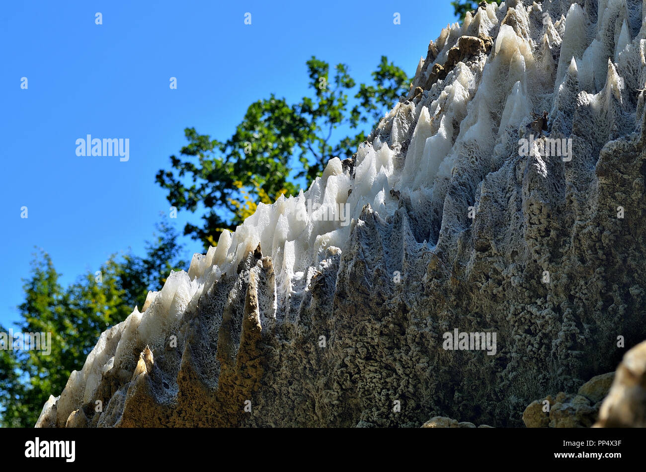 Close-up de sommet de Montagne de Sel à Sovata, milieu de la Transylvanie, Roumanie Banque D'Images