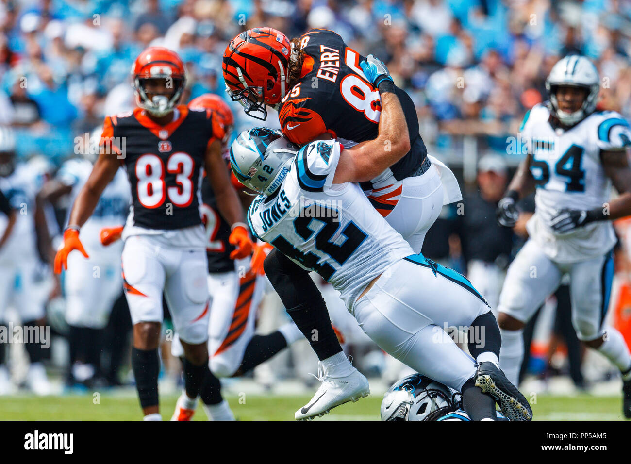 Charlotte, NC, USA. 29Th Sep 2018. Cincinnati Bengals tight end Tyler Eifert (85) extrait pris par Carolina Panthers arrière défensif Colin Jones (42) dans le match de la NFL entre Cincnnati et Carolina à Bank of America Stadium à Charlotte, NC. (Scott Kinser/Cal Sport Media) Credit : csm/Alamy Live News Banque D'Images