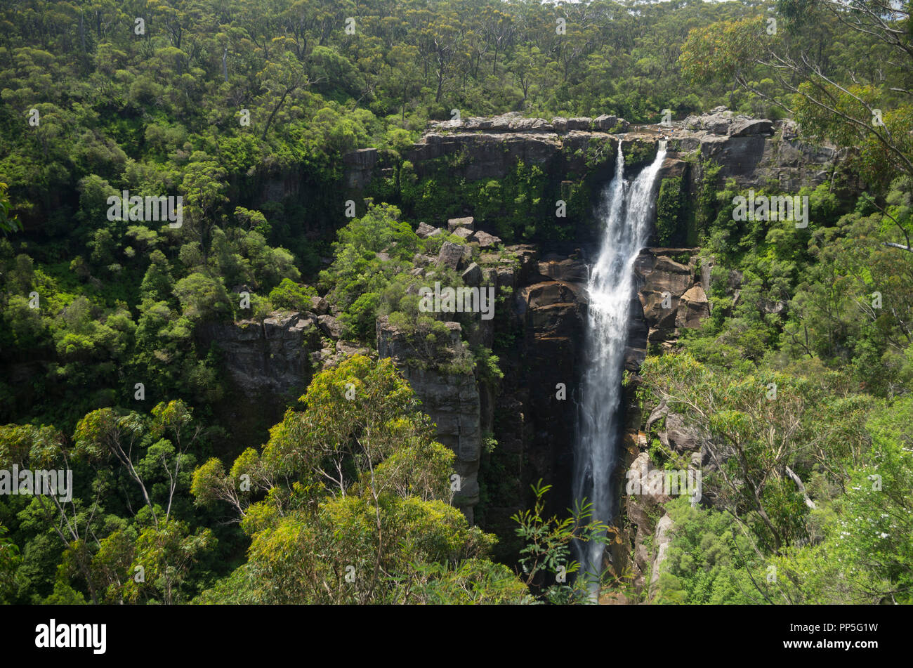 Carrington Falls Cascade, Southern Highlands, NSW, Australie Banque D'Images