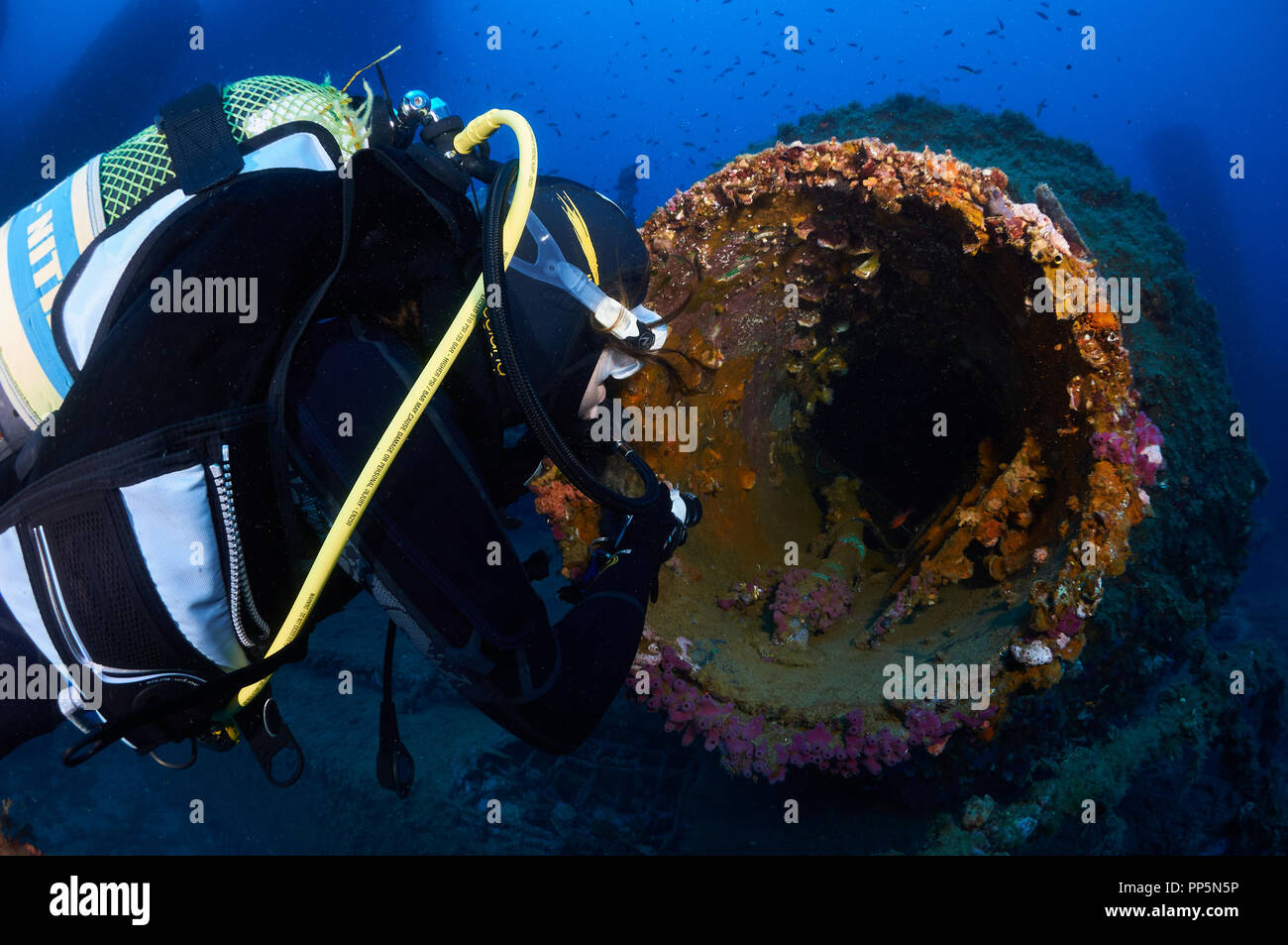 Plongeur femelle avec une torche à explorer l'intérieur d'un grand tube de la vie marine incrustée à la Plataforma épave (Formentera,Iles Baléares, Espagne) Banque D'Images