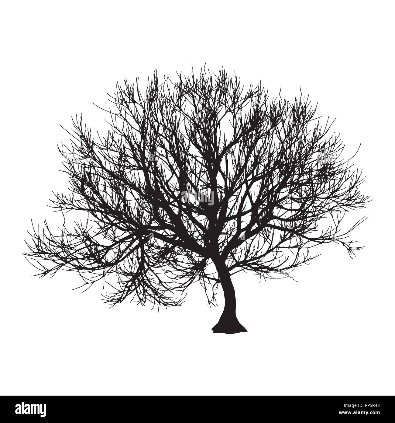 Arbre Sec noir automne hiver ou silhouette sur fond blanc. Eps10 Vector illustration Illustration de Vecteur