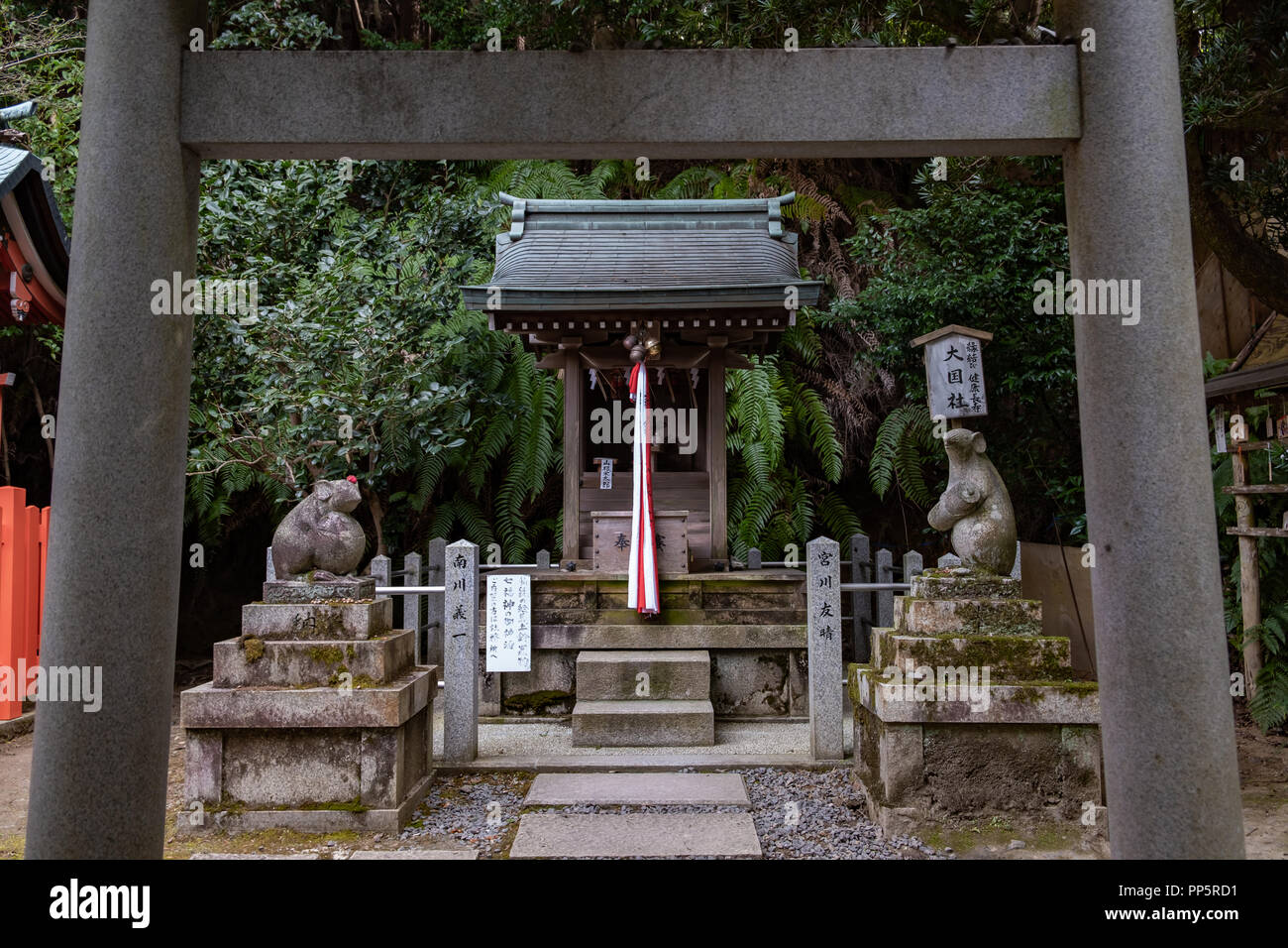 KYOTO, JAPON - 08 février 2018 : deux souris statues et de culte entre encadrée de torii sur Otoyo Jinja à Kyoto Banque D'Images