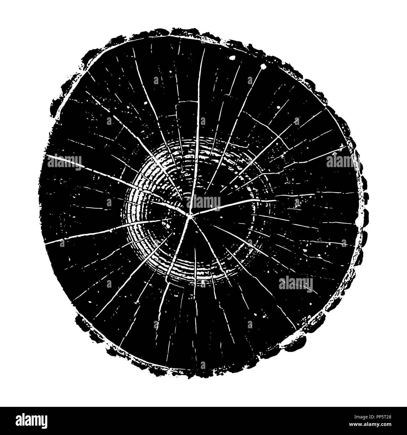 Journal de l'arbre, les cernes de croissance du bois texture grunge vector illustration. Illustration de Vecteur