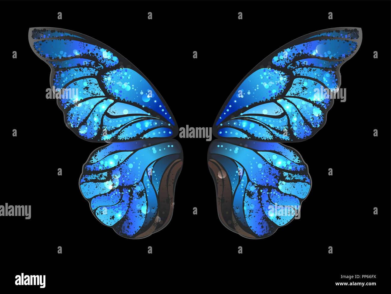 Les ailes de papillon bleu, détaillées sur fond noir morphines. Illustration de Vecteur