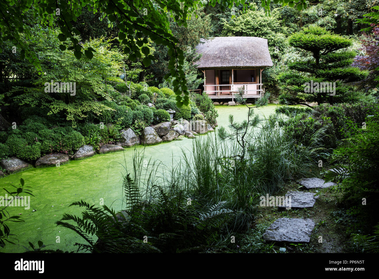 Point de vue des petites thatched hut entre les arbres dans un jardin de thé japonais avec petit sentier le long d'un étang. Banque D'Images