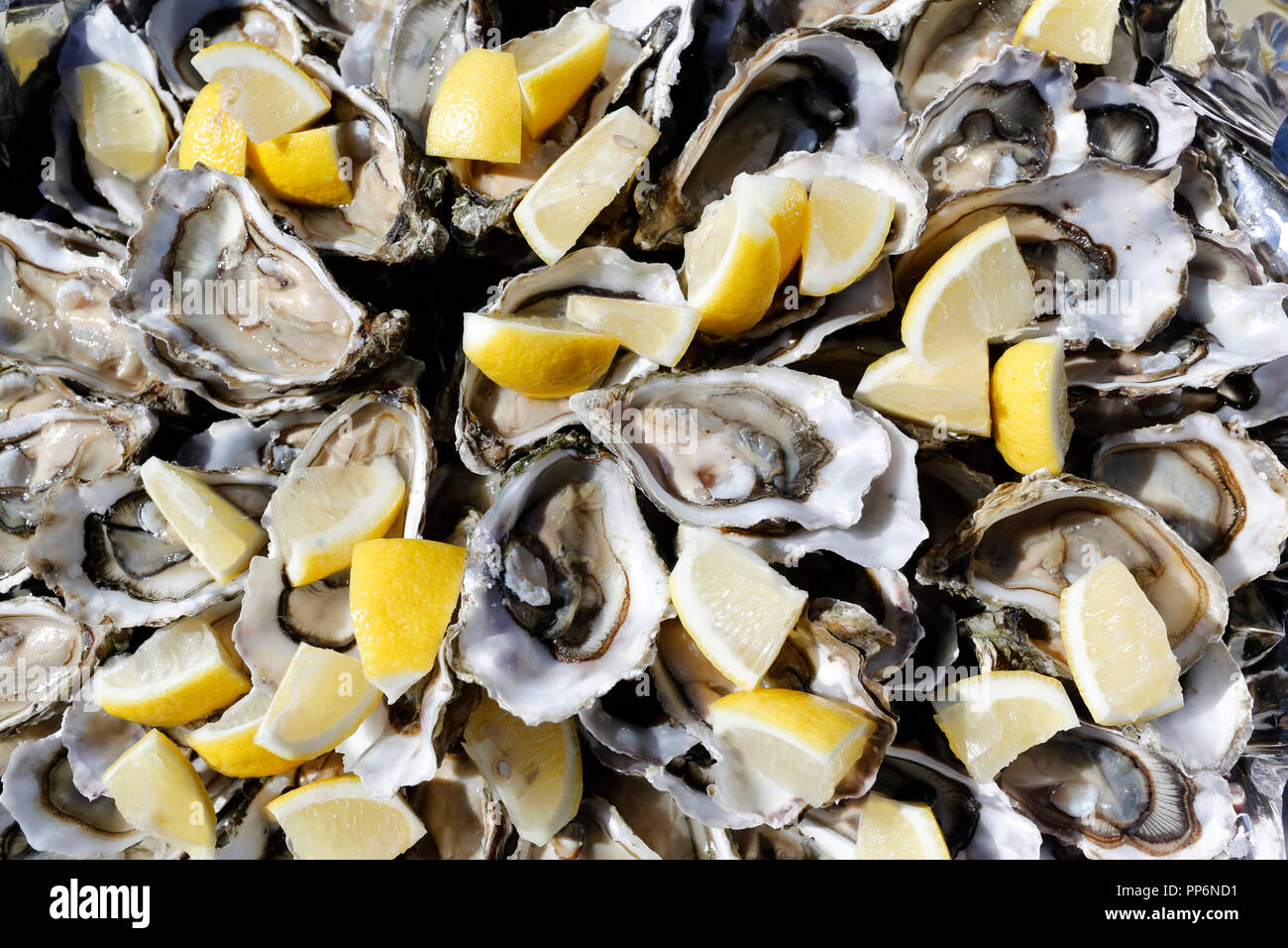 Gros plan d'ouvrir les huîtres et des tranches de citron, les huîtres du bassin d'Arcachon Banque D'Images